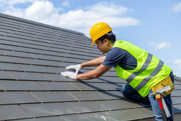 Best Roof Gutter Cleaning  in Oxford, AL